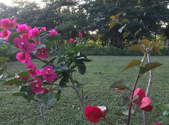 Casa Veranera Frühstückspension Santa Cruz (Guanacaste)