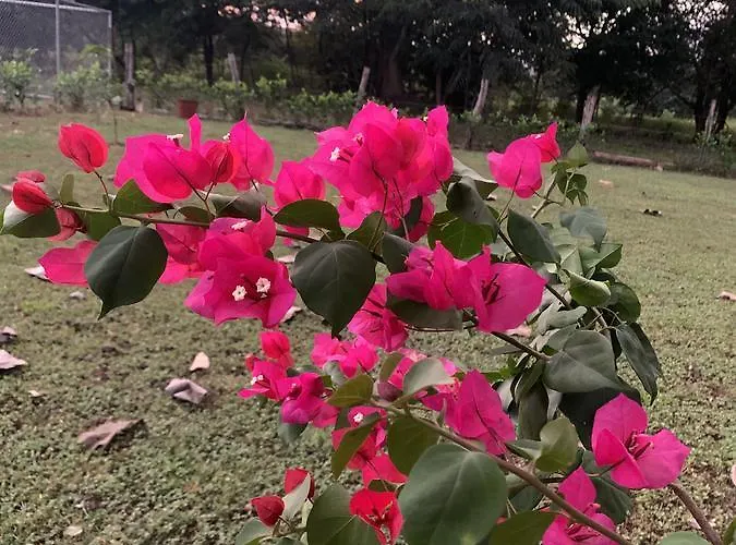Frühstückspension Casa Veranera Santa Cruz (Guanacaste)