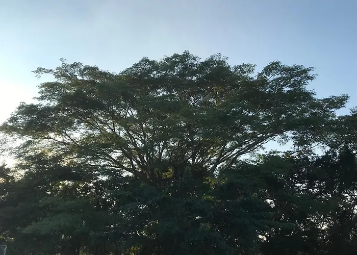 Frühstückspension Casa Veranera Santa Cruz (Guanacaste)
